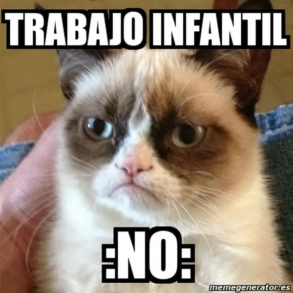 memes