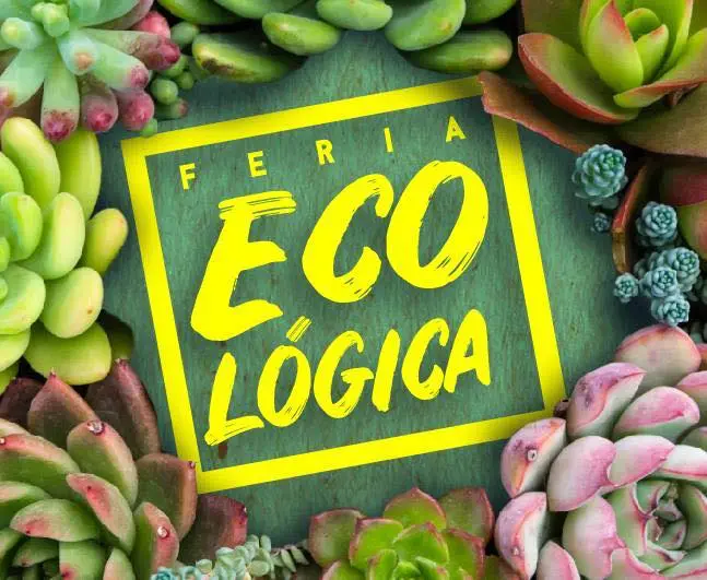 Feria Ecologica