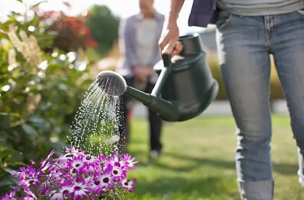 Evite el desperdicio de agua en su hogar foto