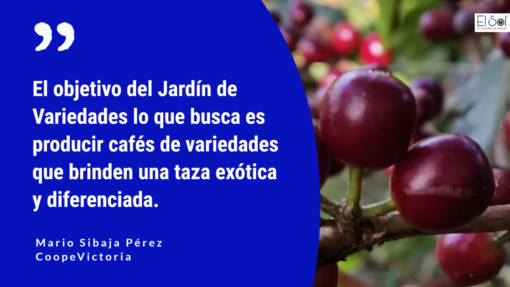 Café CoopeVictoria
