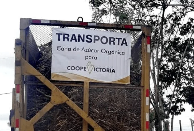 CoopeVictoria