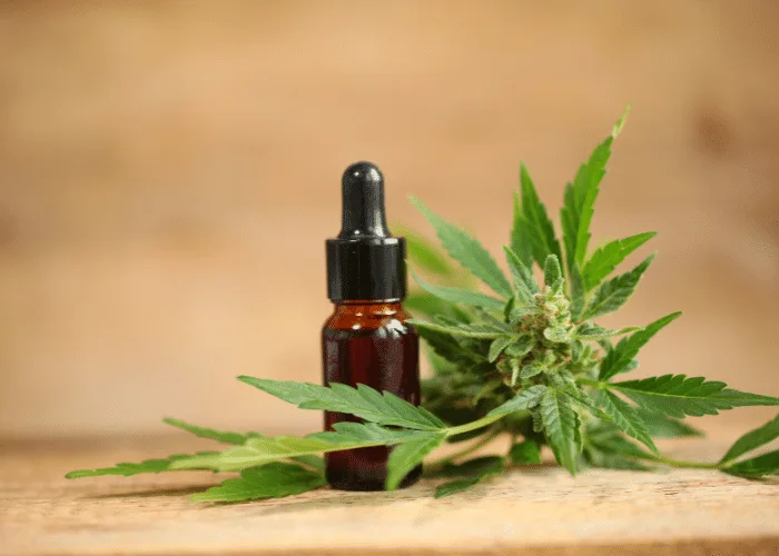 cannabis medicinal cannabis