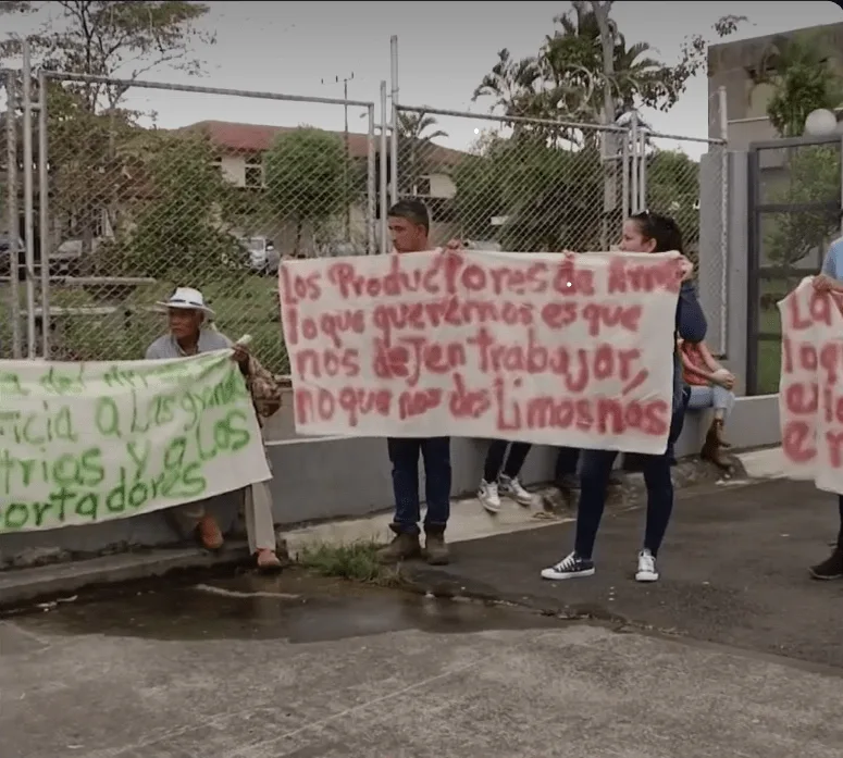 arroceros