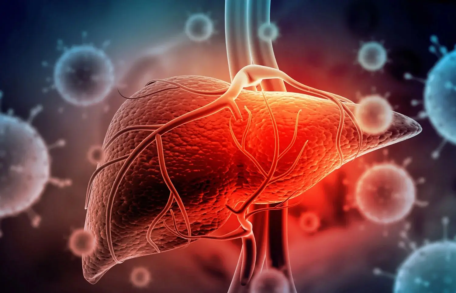 hepatitis-2_0